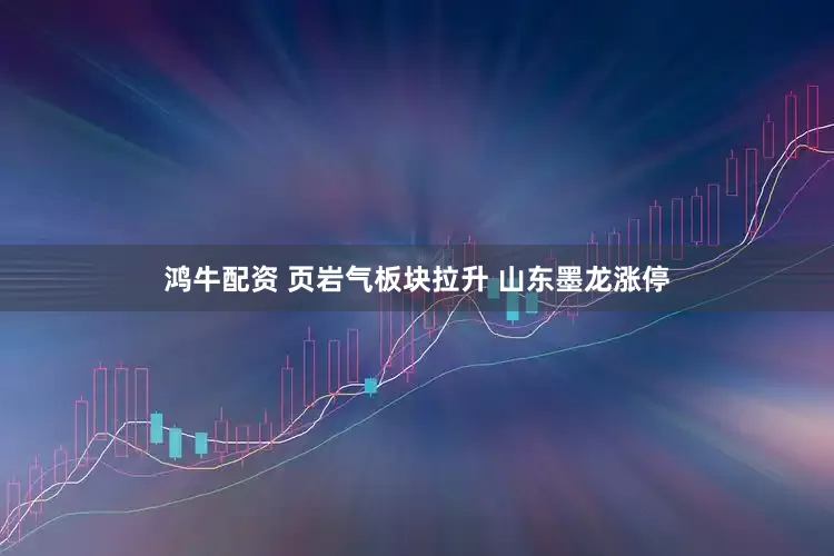 鸿牛配资 页岩气板块拉升 山东墨龙涨停