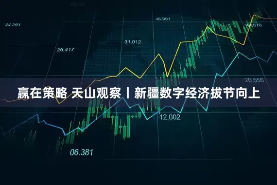 赢在策略 天山观察丨新疆数字经济拔节向上