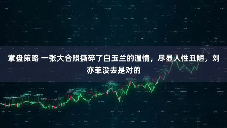 掌盘策略 一张大合照撕碎了白玉兰的温情，尽显人性丑陋，刘亦菲没去是对的