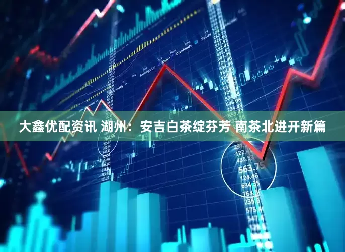 大鑫优配资讯 湖州：安吉白茶绽芬芳 南茶北进开新篇