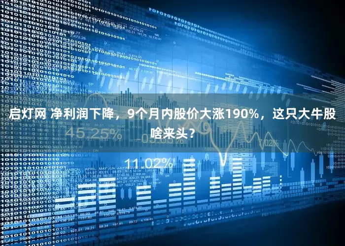 启灯网 净利润下降，9个月内股价大涨190%，这只大牛股啥来头？
